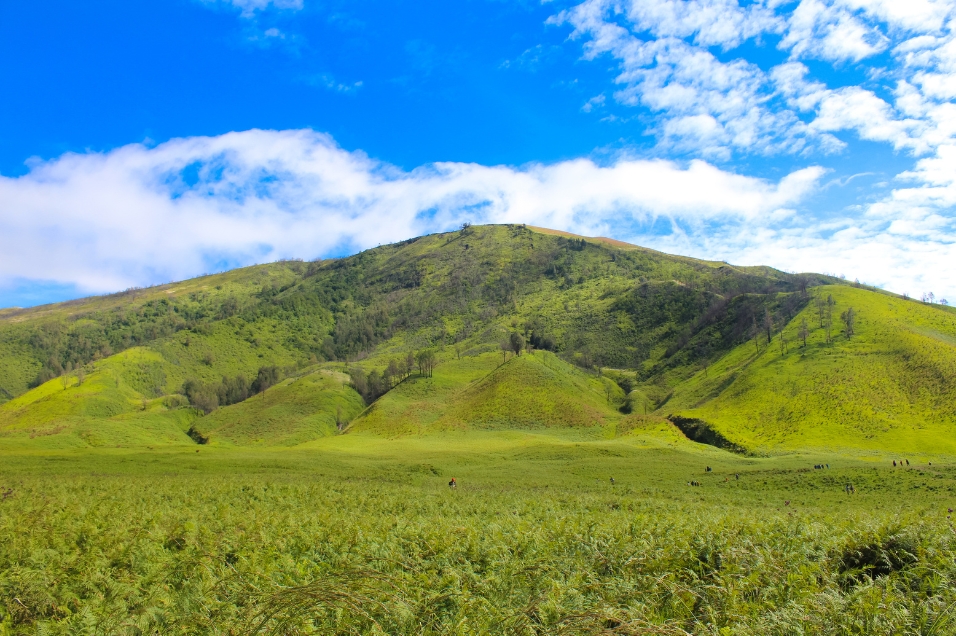 Keajaiban Krim dari Kabut Pagi: Rahasia Kulit Glowing dari Bukit Teletubbies Bromo