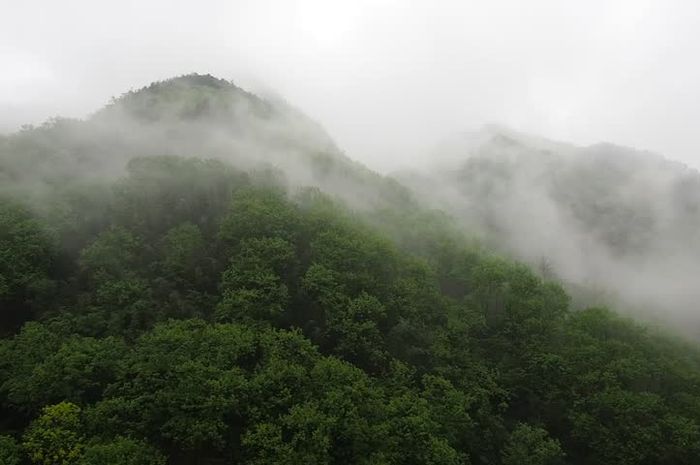Toner Wajah: Rahasia Kulit Sehat dan Bercahaya dari Lintasan Langkah Pertapa dan Kabut Gunung